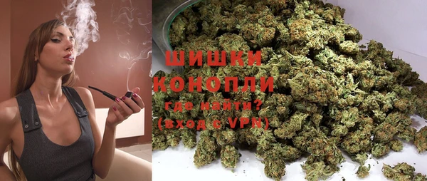 гашик Зерноград