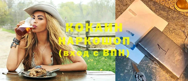 гашик Зерноград