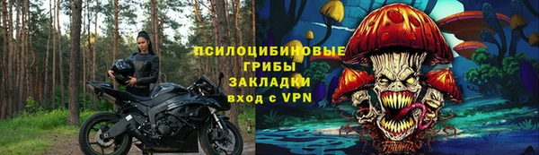 дмт Зеленодольск