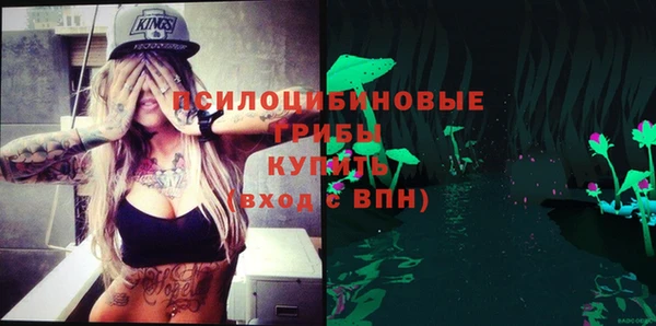 гашик Зерноград