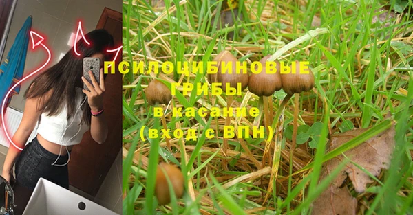 гашик Зерноград