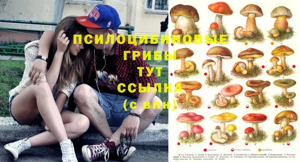 дмт Зеленодольск