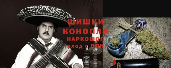 гашик Зерноград