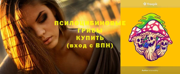 гашик Зерноград