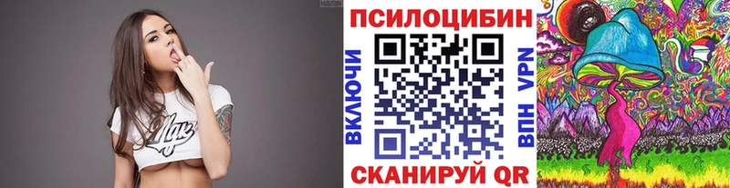 Псилоцибиновые грибы MAGIC MUSHROOMS  Купить закладки  Шахунья 